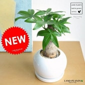 <br><br>�ѥ���ʴ��������ס� �� �ݷ� ƫ��ȭ �ʲ������С� <br>�����ѥ��顦�������ƥ�����ȯ�����������ڡ���������߽Ф�������Ϸ�������ݥ���Ⱦò������տ�ʪ