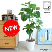 <br><br>��¤�֤Ǥ��ۡ�NEW!!������٥顼�����ߡ��򥻥饢����ȭ���å�<br>���ϡ����դäѡ�����٥顼���Υե������������������������ʤ�<br>���͹����տ�ʪ��������<br>�������١����������������륫��ǥ����ץ졼������Υ���������ڡ����ߥơ������