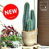 <br><br>�쥵�ܥƥ󡡥ǥ�������ɤ��ƥ饳�å�ȭ��<br>ȭ���������ܥƥ󡡥��쥦����ȭ���åȤ��㤤��������������C4������������Ϸ�������ݥ���Ⱦò������տ�ʪ���Х륳�˥��� �侩item