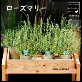 �� �ϡ����� �� �������ޥ꡼ 4�� �򿧥ץ饹���å�ȭ��ȭ�� �ޥ�ͥ����