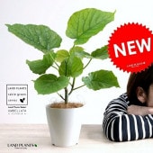 <br><br>�ڤ���� ����٥顼�� �� �ץ饹���å�ȭ 4�� <br>(��) ��奵���� ȭ���� ȭ �� ���� ���տ�ʪ <br>�� �ۥ磻�� ��