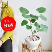 <br><br>����٥顼�� �� �������� �饦��� ƫ��ȭ <br>�ϡ��ȥ꡼�� �ե����� ������� �����١��� ������١��� <br>ȭ���� ȭ ��ȭ �� �ۥ磻�� �� ���տ�ʪ ����̵��<br>