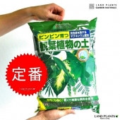 <br><br>���տ�ʪ���� 5L ���Ԥ��ʤ������Ԥ����ʤ����ԥ�ԥ���  �������ڥ��꡼��������٥顼����������ޥ롡��Ϸ�������ݥ���Ⱦò������տ�ʪ