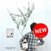 <br><br>���꡼�����ڡ����極��������ȭ���С����åȡ����꡼�֡����꡼�֤��ڡ����꡼���ġ��ġ����ڡ�ȭ��������Ϸ�������ݥ���Ⱦò������տ�ʪ