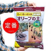 <br><br>�� �����ǥ����� �ۡ����꡼�֤��ڡ�12�̡����꡼�֤������Ѥ��ڤǤ������Ĥ����ڡ���Ϸ�������ݥ���Ⱦò������տ�ʪ