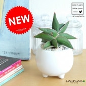 <br><br>���󥹥٥ꥢ�ʥ�ȥ���� ­�� �ܡ��뷿 ƫ��ȭ �� <br>��ȥ륵��饤�����󥻥٥ꥢ����Ϸ�������ݥ���Ⱦò������տ�ʪ