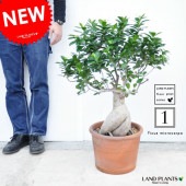 <br><br>NEW!!�����꣱����Ķ���硡������ޥ롡�ߺϻ�Ω�ơ��ƥ饳�å�ȭ�˿�������������ޥ����<br>���ڳڥ���_��å��ۡڳڥ���_��å����ϡ۷뺧����ξ�ƤؤΥץ쥼��ȡ��ͻ����˥󥸥󥬥���ޥ롡������ޥ���������ޥ롡��Ϸ�������ݥ���Ⱦò������տ�ʪ