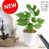 <br><br>�ڤ���� �ҥ��󥹥ƥ� 4�� �� �ץ饹���å�ȭ <br>ȭ������ ���� �ߥ˥�󥹥ƥ� <br>���տ�ʪ �� �� �ۥ磻��