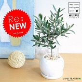 <br><br>���꡼�� �� �ݷ� ƫ��ȭ�ڲ������С�������������� <br>���꡼�֤��ڡ��ڼ����ѡۡ�<br>ȭ������ȭ���ġ����ڡ���ȭ��<br>�뺧����ξ�ƤؤΥץ쥼��ȡ��뺧���ε�ǰ�ʡ�ξ��£�襮�եȡ�ξ��£���ʡ������륫��ĥ꡼�����ե�