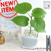 <br><br>����٥顼�� �ɤä��ꤷ�� �� ��� ƫ��ȭ �ʲ������С� <br>����٥顼���������١�������������ڡ���Ϸ�������ݥ���Ⱦò������տ�ʪ