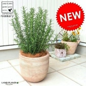 <br><br>�������ޥ꡼ �ǥ�������ɤ� �ƥ饳�å�ȭ ȭ���� <br>Ω�� �� ���� �������ޥ� �Ǿ� ƫ�� <br>�֥饦�� �� �㿧 �١����� ����