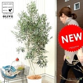 <br><br>���꡼�� 10�� �� ���顼������ȭ�ڥ����ե����С���������� <br>�緿 �� ��ȭ ȭ���� �� ���� ���꡼���� ���꡼�֤��� ���꡼�֤μ� <br>���տ�ʪ ���� �����䥷�ե����С� �䥷���� <br>��ݴ�ʤ�����˥ۥ磻�� �� �ץ�ȭ