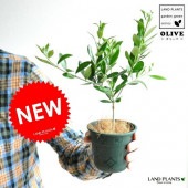 <br><br>�ڤ���������ۡ�new!!�����꡼���ġ���.���極������ȭ���С����åȡ����꡼�֡��ġ����ڡ�ȭ��������Ϸ�������ݥ���Ⱦò������տ�ʪ