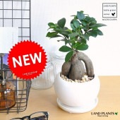 <br><br>������ޤ� �ʴ��������ס� �� ��� ƫ��ȭ ¿���μ��ڲ������С�������������� <br>ƫ��ȭ��ȭ��ȭ��������ȭ���ۥ磻�ȡ�<br>������ޥ롦�����ޤ�