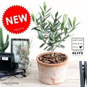 <br><br>���꡼�� ���㿧�˥⥹�ݥå� ���������� �ƥ饳�å��ڥС������åס�������� <br>����ȭ ���꡼�֤��� �� ���� ȭ ���� �Ǿ� <br>���տ�ʪ ���� ���� �뺧�� ����̵�� <br>�� �֥饦�� ����� �� �饦���