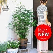 <br><br>���ޥȥͥꥳ�����åɥХ�롡�ץ�󥿡�����Ω���ȥͥꥳ��ȭ������<br>��î��îȭ�����ޥȥ�ͥ������ޥȥ�ͥ����ȥ�ͥ��������ץ�󥿡����Х륳�˥���