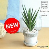 <br><br>���󥹥٥ꥢ�ʥե�󥷥����� ���緿�� �����ͤΥ����ȥݥå� S������ ƫ��ȭ <br>���եȤ˺�Ŭ�ɣԣţͤ��<br>�ڳڥ���_�Τ��ۡڳڥ���_�Τ�����ۡڳڥ���_��å��ۡڳڥ���_��å����ϡۥ��奦�˥Υޥ����ϥ����������¿����ʪ