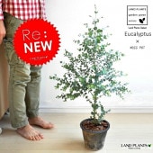 <br><br>�桼����ʥ��ˡ��� ���� �緿 �⥹�ݥå� �ƥ饳�å�ȭ <br>MOSS POT���ġ��桼����ץ���<br>���⥹�ݥåȡ������顡�ݡ�����