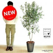 <br><br>���꡼�� 10�� ���� ���顼������ȭ�ڥС������åס�������� <br>�緿 �� ��ȭ ȭ���� �� ���� ���꡼���� ���꡼�֤��� ���꡼�֤μ� <br>���տ�ʪ ���� �����䥷�ե����С� �䥷���� <br>��ݴ�ʤ�����˥֥�å� �� �ץ�ȭ