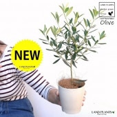 <br><br>�ڤ���� ���꡼�� 4�� ���ʼ���ޤ������� �ץ饹���å�ȭ�ڥ����ե����С��� <br>���꡼���� ���� �� ȭ���� ȭ ���տ�ʪ ��ʪ ���� <br>�뺧����ξ�ƤؤΥץ쥼��� �뺧���ε�ǰ�� ξ��£�襮�ե� ξ��£���� �����륫��ĥ꡼  <br>�� �ۥ磻�� ��