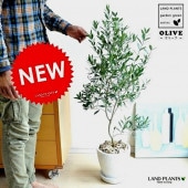 <br><br>���꡼�� �� ���å������饦���ƫ��ȭ�����С�������������� <br>���꡼�֤��ڡ�ȭ�������꡼��<br>�뺧����ξ�ƤؤΥץ쥼��ȡ��뺧���ε�ǰ�ʡ���£�襮�եȡ�ξ��£���ʡ�<br>���꡼���ġ��ġ����ڡ�ȭ����