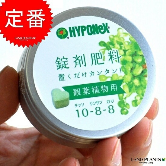 HYPOneX 全用途の植物肥料 5kg×２個セット ハイポネックス 観葉植物の肥料アンプル – 鉢人