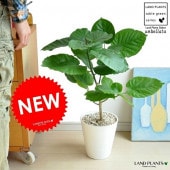 <br><br>����٥顼�� 7�� ���饢����ȭ �ʥ���äȰ������ޤä� ���֤������סˡ�ŷ�����С����������������<br>�� �ۥ磻�� �� �饦��� �ץ�ȭ �ץ饹���å�ȭ ȭ���� ȭ <br>�ե����� ���� ����Υ���������ڡ����տ�ʪ ����̵��