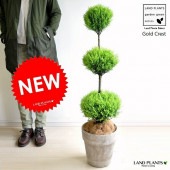 <br><br>�ڥХ륳�˥��� �侩item��<br>��NEW!!��������ɥ��쥹�ȡ����ʥܡ��롡�ȥԥ��꡼�������ꥢ��ƥ饳�å�ȭ�˿�������ȭ�������˥ե���<br>��������ޡ����ꥹ�ޥ��ĥ꡼��������ޡ�������ǥ󥯥쥹�ȡ����ȥ쥤���ȥ�������Ϸ�������ݥ���Ⱦò������տ�ʪ