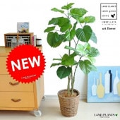 <br><br>��¤�֤Ǥ��ۡ�NEW!!������٥顼�����ߡ��֥饦��Х����å�<br>���ϡ����դäѡ�����٥顼���Υե������������������������ʤ�<br>���͹����տ�ʪ��������<br>�������١����������������륫��ǥ����ץ졼������Υ���������ڡ����ߥơ������