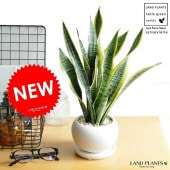 <br><br>���󥹥٥ꥢ�ʥ��������� �� ��� ƫ��ȭ�ڲ������С�������������� <br>���󥻥٥ꥢ���פ������������ƥ������󥹥���������������������<br>ƫ��ȭ��ȭ����ȭ���ۥ磻�� ���տ�ʪ ����̵��