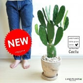 <br><br>NEW!!�������掠�ܥƥ��㿧���å��ݥåȿ��������Х󥶥����ܥƥ�<br>¿����ʪ������������C4������������Ļ˹�ҡ���Ϸ�������ݥ���Ⱦò������տ�ʪ