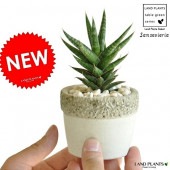 <br><br>���󥹥٥ꥢ�ʥե�󥷥����� �ھ����� �����ͤΥ����ȥݥå� S������ ƫ��ȭ <br>���ȥ���� ���󥻥٥ꥢ���ե�󥷥���<br>¿����ʪ�����տ�ʪ���ݥ���Ⱦò�