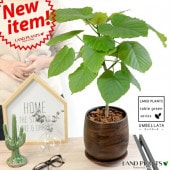 <br><br>����٥顼�������å������ڥ����ƫ��ȭ���ͥ��������ڴ��տ�ʪ�� ���̸��ꡪ��<br>�㿧���֥饦��ƫ��ȭ������ȭ