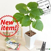 <br><br>����٥顼�����򿧥���ࡡ����ѥ���ƫ��ڴ��տ�ʪ��