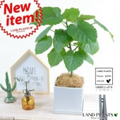 <br><br>����٥顼�����򿧡����塼��ƫ��ͥ������ڴ��տ�ʪ�ۡ�<br>�ۥ磻�ȡ�ƫ��ȭ������ȭ���ͳѡ���������