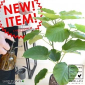 <br><br>����٥顼�������å������ڥ����ƫ��̥����������桡�緿�ڴ��տ�ʪ�ۡ�<br>�㿧���֥饦��ƫ��ȭ������ȭ