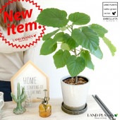 <br><br>����٥顼������ե��ȡ���ƫ��ȭ���ۥ磻�ȡ��ڴ��տ�ʪ�ۡ����桦����