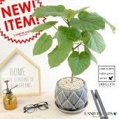 <br><br>����٥顼�� ���� ��������� �饦��ɷ� ƫ��ȭ �֥�å� <br>���ڴ��տ�ʪ�ۡ����桦���桦����ƫ��ȭ������ȭ�����������졼