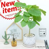 <br><br>����٥顼�� �� ��������� �饦��ɷ� ƫ��ȭ �ۥ磻�� <br>�ڴ��տ�ʪ�ۡ����桦���桡��ƫ��ȭ������ȭ