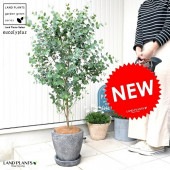 <br><br>�桼����ʥ��ˡ��� ���� ���å��� �饦��� ƫ��ȭ <br>�緿 �桼������� �桼����ץ��� �եȥ�� <br>ȭ���� ȭ �� �֥�å� ���� ���졼 ���տ�ʪ ����̵�� �����ե桼���� ����