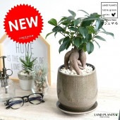 <br><br>������ޥ�ʴ��������ס� �١����� ����夭���� �饦��ɷ� ƫ��ȭ <br>�ʲ������С�������������˹�ʡ��⤿�餹 ¿���μ� ���� ������ޤ���� <br>ȭ���� ȭ �� �� �㿧 �� ���� �� ���տ�ʪ
