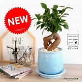<br><br>������ޥ�ʴ��������ס� �忧 ���礤���� ƫ��ȭ M������ �ڲ������С�������������� <br>ȭ���� ȭ �� ���� ����ȭ ���տ�ʪ <br>�֥롼 �� �Ŀ� �� �� �饦��� ����̵��