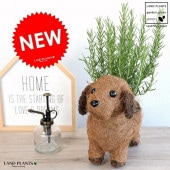 <br><br>�������ޥ꡼ 4�� �� �������Х����å� M������ 2���� <br>ȭ���� �� ���� �� Ω�� �ϡ��� �ޥ�ͥ���� ��ų�� ���Τ����� <br>�����䥷�ե����С� ���տ�ʪ ����