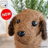 <br><br>�������ޥ꡼ 4�� �� �������Х����å� M������ 2���� <br>ȭ���� �� ���� �� Ω�� �ϡ��� �ޥ�ͥ���� ��ų�� ���Τ����� <br>�����䥷�ե����С� ���տ�ʪ ����