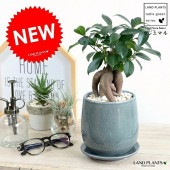 <br><br>������ޥ�ʴ��������ס� �֥롼 ����夭���� �饦��ɷ� ƫ��ȭ <br>�ʲ������С�������������˹�ʡ��⤿�餹 ¿���μ� ���� ������ޤ���� <br>ȭ���� ȭ �� �Ŀ� �� ���� �� ���� �� ���տ�ʪ