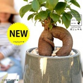 <br><br>�ʴ����˥�����ޥ� �֥롼 ����夭�Τ��� �饦��ɷ� ƫ��ȭ <br>�ڲ������С��������������ȭ���� ȭ ƫ�� �� ���� <br>��ʡ��⤿�餹 ¿���μ� ���� ������ޤ���� <br>�� �Ŀ� �忧 ���졼 ���� �� �饦��� ���տ�ʪ