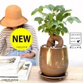 <br><br>������ޥ�ʴ��������ס� �١����� ����夭�Τ��� �饦��ɷ� ƫ��ȭ <br>�ڲ������С��������������ȭ���� ȭ ƫ�� �� ���� <br>��ʡ��⤿�餹 ¿���μ� ���� ������ޤ���� <br>���� �㿧 ���졼 ���� �� �� �� �饦��� ���տ�ʪ