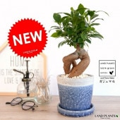 <br><br>������ޥ�ʴ��������ס� �䤵�������礤 ƫ��ȭ ���Ŀ��� <br>ȭ���� ƫ��ȭ ȭ �� ���� <br>�֥롼 �� �� �饦��ɡ����տ�ʪ ����̵��