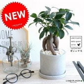 <br><br>������ޥ� �ʴ��������ס� ������ �������� ƫ��ȭ <br>��ʡ��⤿�餹 ¿���μ� ���� ������ޤ���� �˥󥸥󥬥���ޥ� �ͻ�<br>ȭ���� ȭ �� ���� �� ���졼 ���󥯥꡼�� ���տ�ʪ