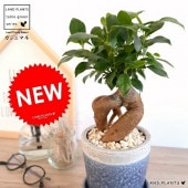 <br><br>������ޥ�ʴ��������ס� �䤵�������礤 ƫ��ȭ ���Ŀ��� <br>ȭ���� ȭ �� ���� <br>�֥롼 �� �� �饦��ɡ����տ�ʪ ����̵��
